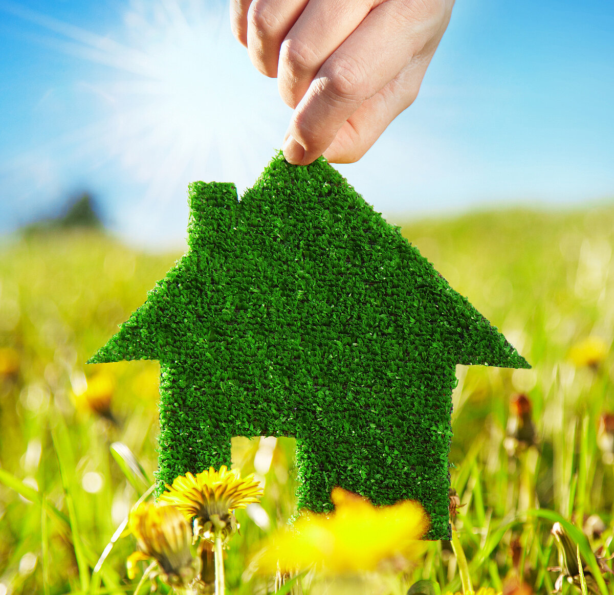 Kühlen - Energieträger Kühlen - Energieträger